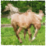 Small Horse 3
